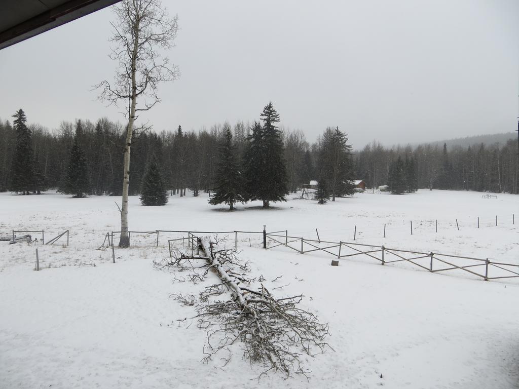 Black Cat Guest Ranch Brule Mines Екстер'єр фото